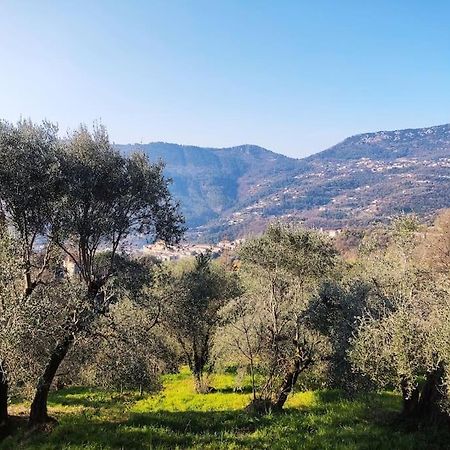 Bas De Villa. Cote D'Azur, A 20 Kms De Nice Contes  Екстер'єр фото