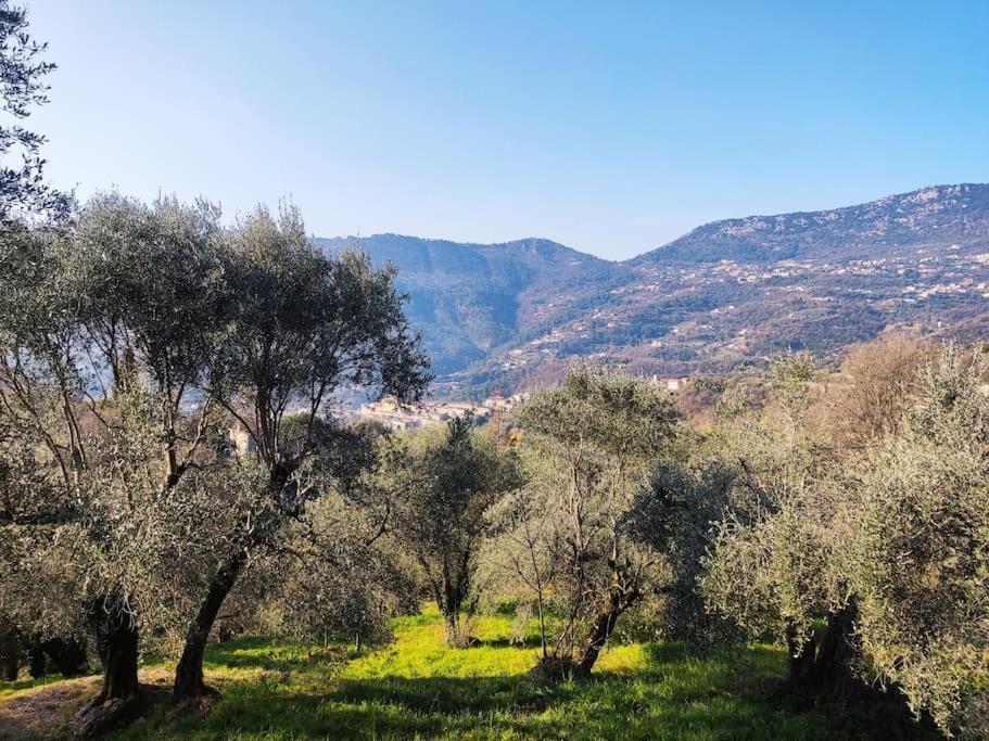 Bas De Villa. Cote D'Azur, A 20 Kms De Nice Contes  Екстер'єр фото